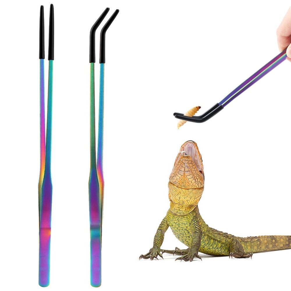 Feeding Tong Stainless - 2PCS Stainless Steel Reptile Feeding Tongs