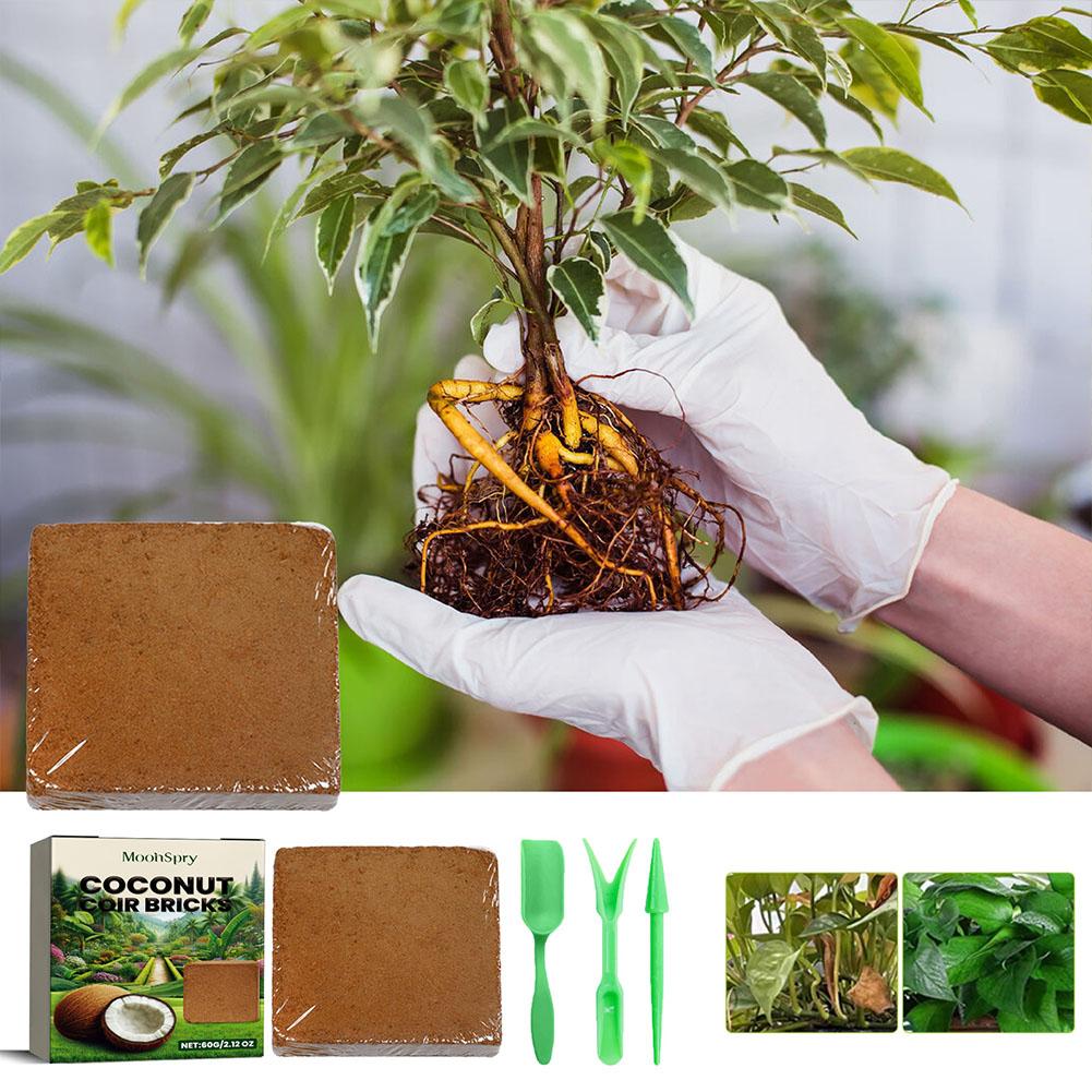 Reptile Coconut Soil Coir Pres - Substrate Coconut Fiber recension och pris