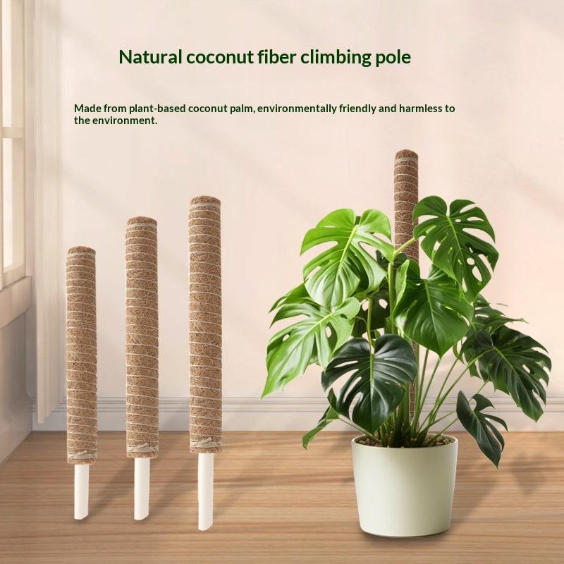 1Pcs Plant Growth Traction Rod - Vine Climbing Plastic recension och pris