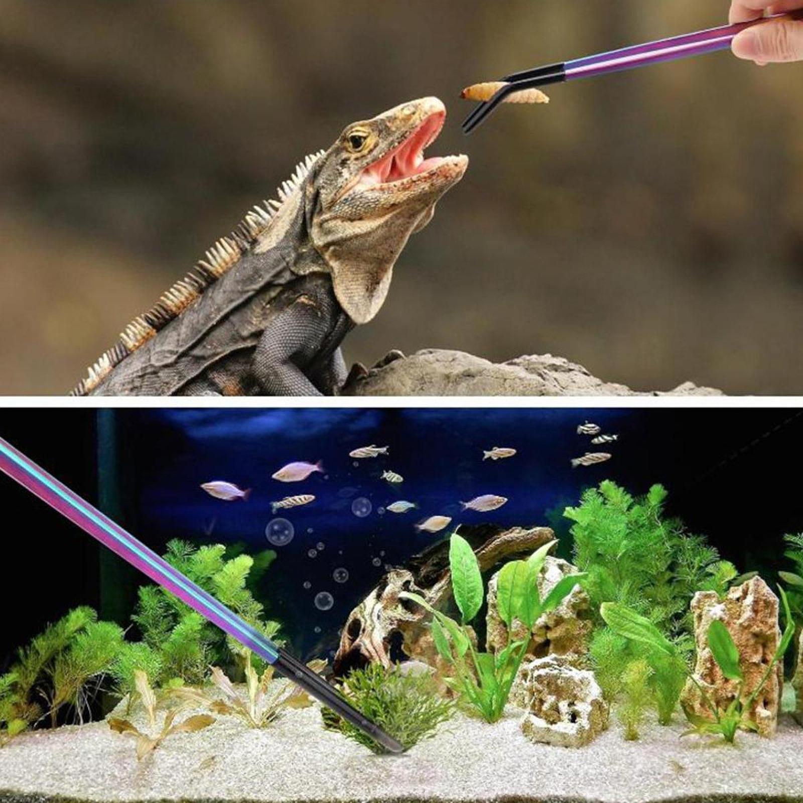 Aquarium Tweezers Reptile Feed - Feeding Tong Stainless recension och pris