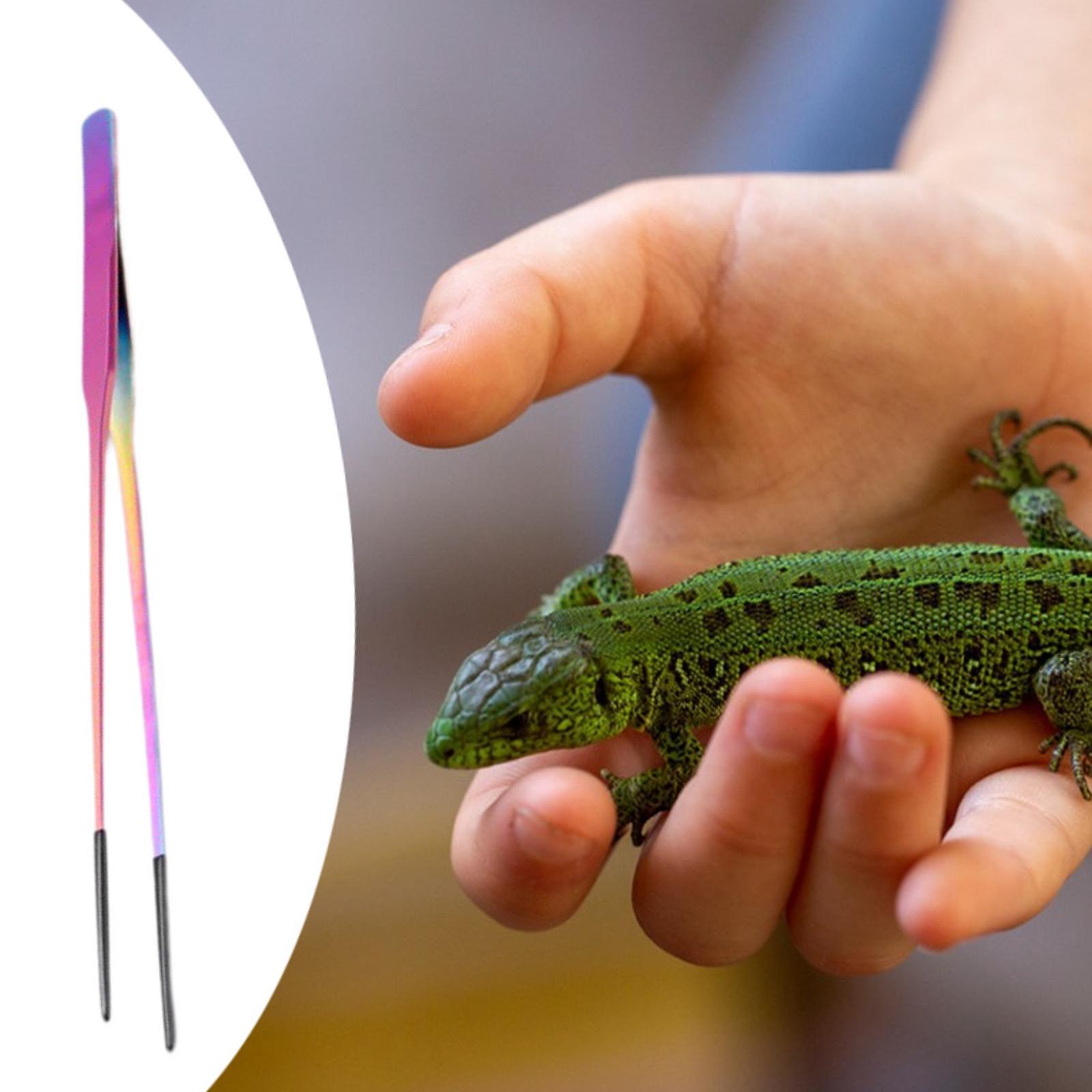 Aquarium Tweezers Reptile Feed - Feeding Tong Stainless recension och pris