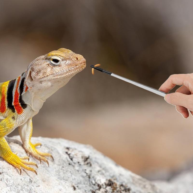 Extra Long Reptile Feeding Ton - Feeding Tong Stainless recension och pris