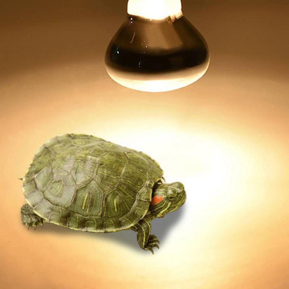 Amphibians Heat Lamp Heater Ha - Basking Bulb Halogen recension och pris