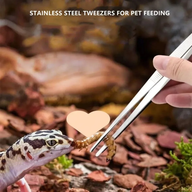 Stainless Multifuctional Steel - Feeding Tong Stainless recension och pris