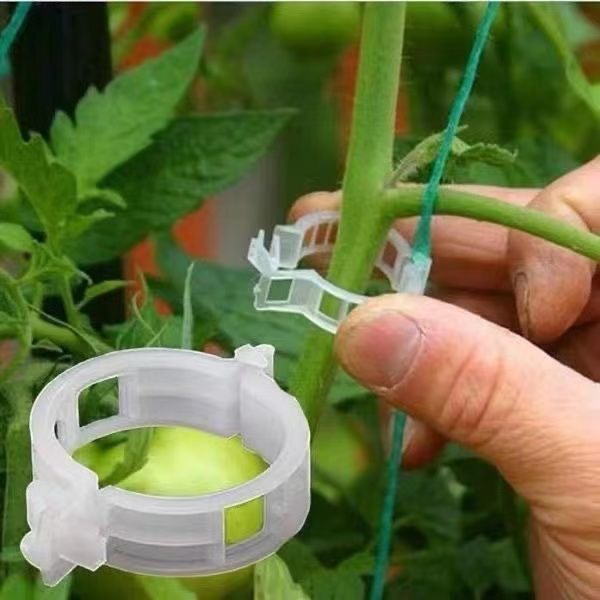 500Pcs Plastic Plant Support C - Vine Climbing Plastic recension och pris