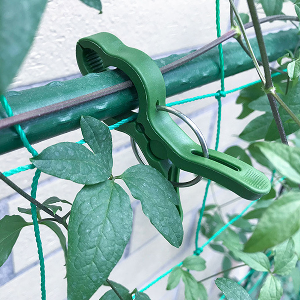 60Pcs Garden Plant Clips Plast - Vine Climbing Plastic recension och pris