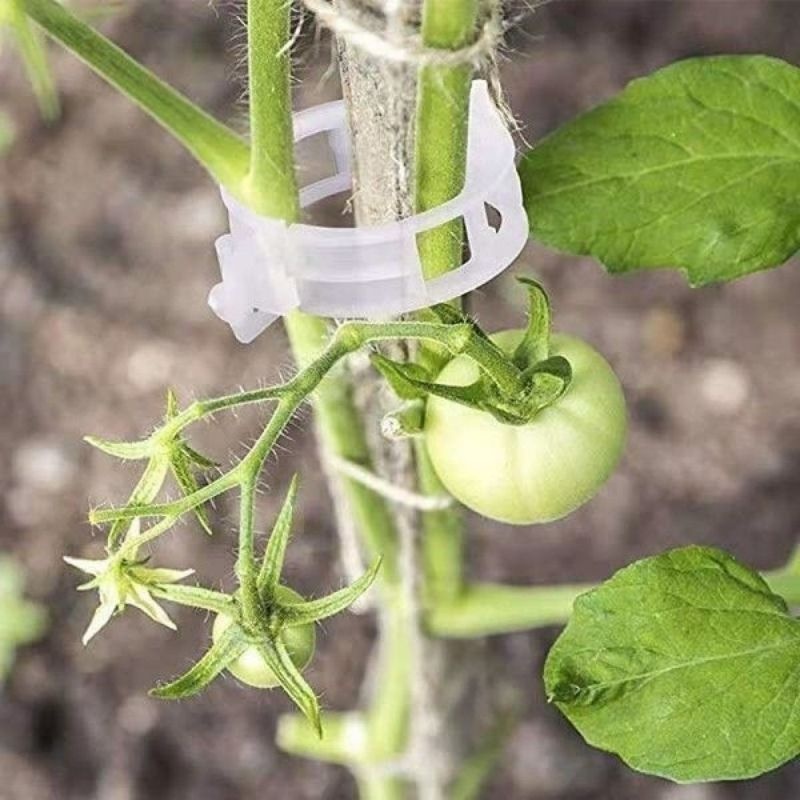 Plastic Plant Support Clips Re - Vine Climbing Plastic recension och pris