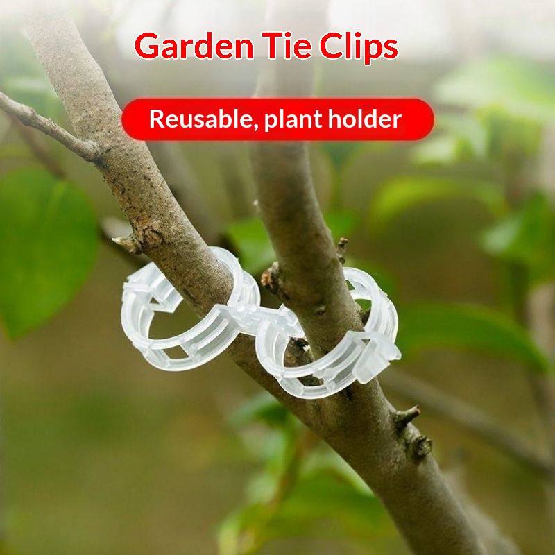 Plastic Plant Support Clips Re - Vine Climbing Plastic recension och pris