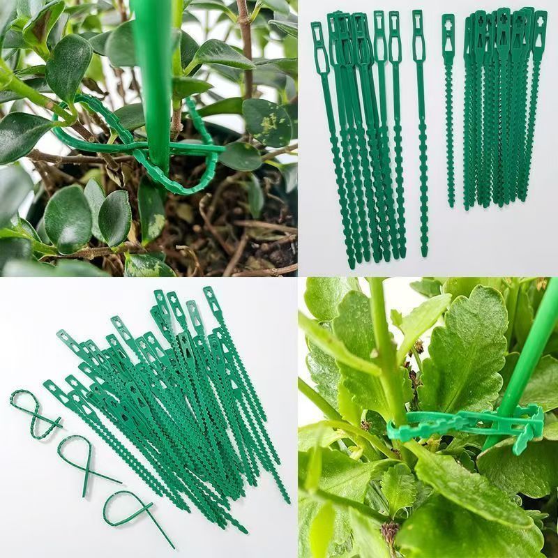 Green Reusable Plant Ties Adju - Vine Climbing Plastic recension och pris