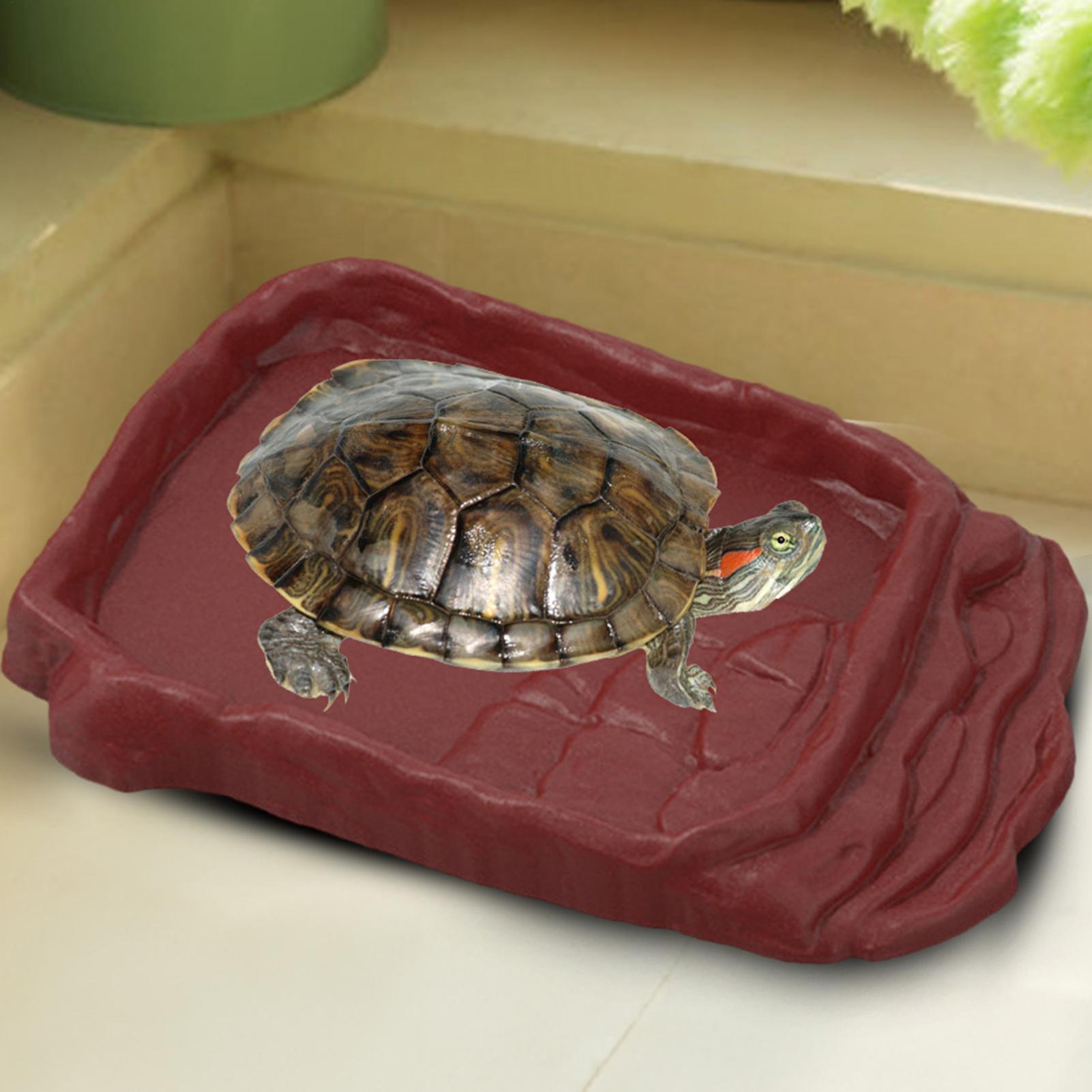 Anti-Slip Ladders Reptile Bowl - Water Dish Reptile recension och pris